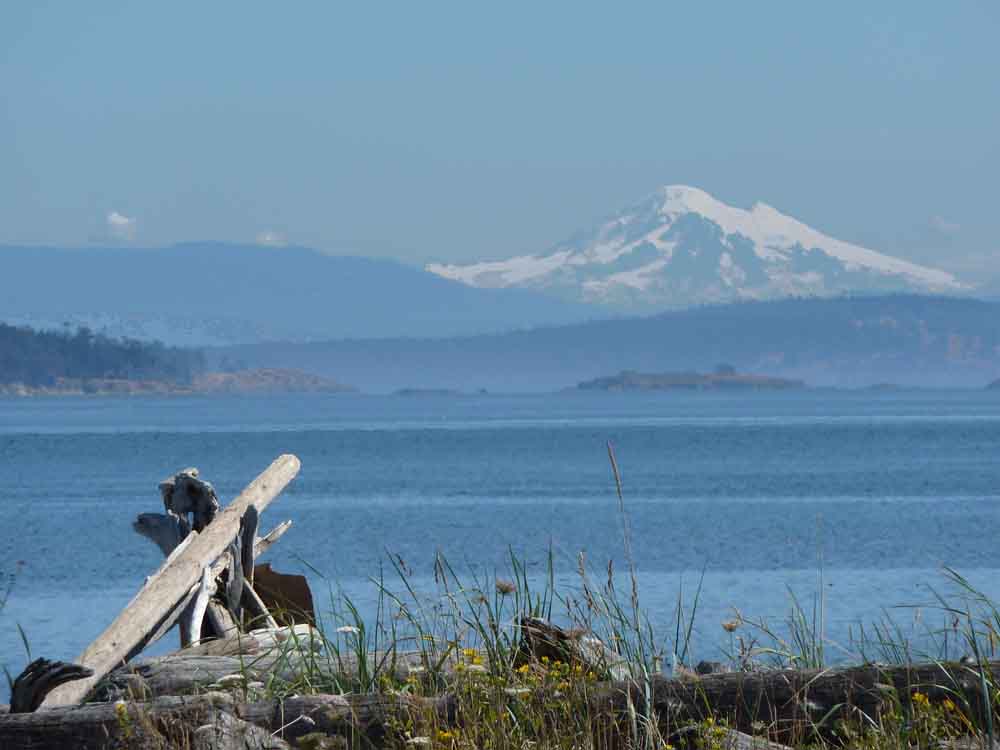 McNeill Life Stories Island View Beach Camping Close to Home - McNeill ...